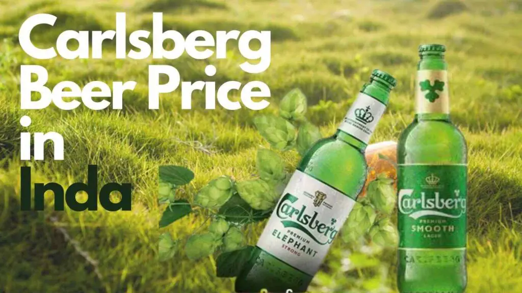 carlsberg-beer-price-in-india-330ml-500ml-650ml-pubbarin