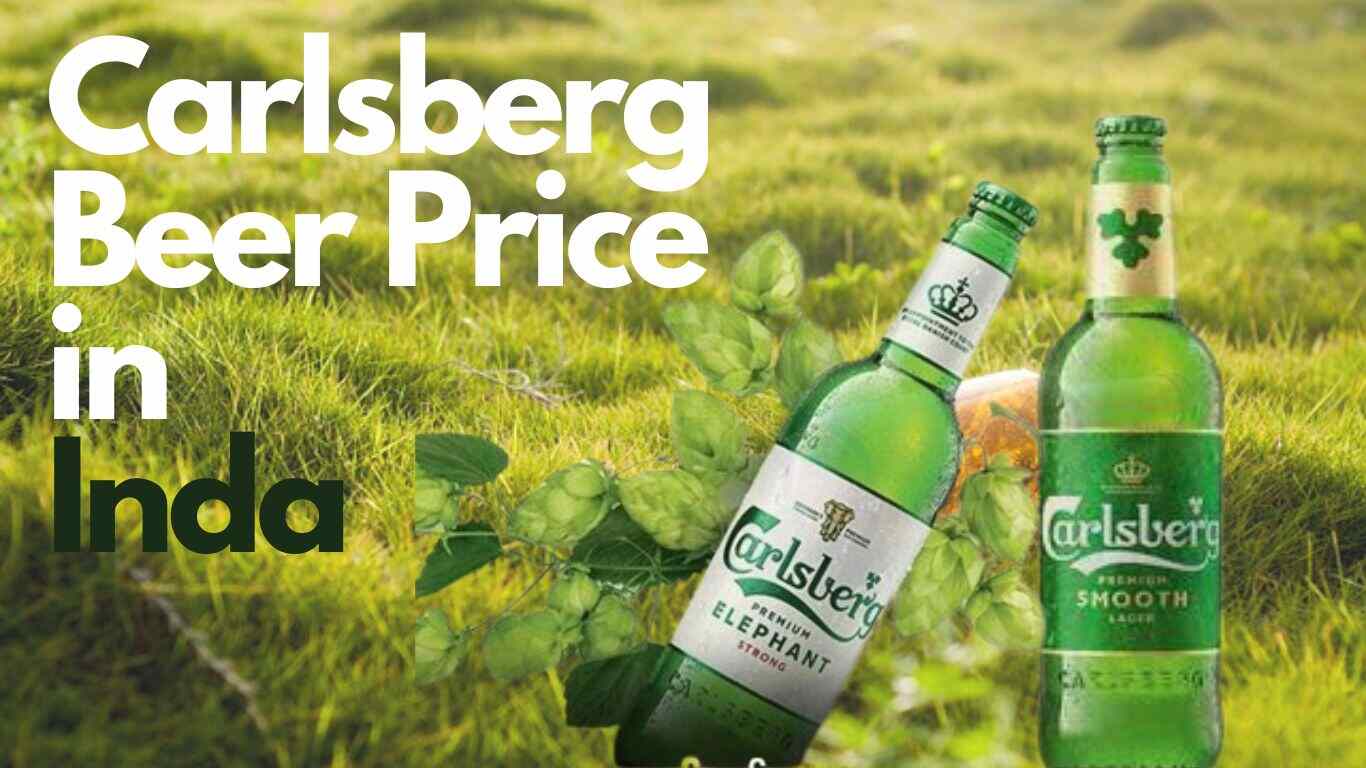 Carlsberg Beer Price in 2023