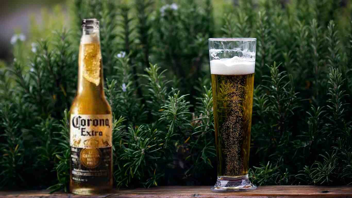 Corona Beer Price in Delhi 2023