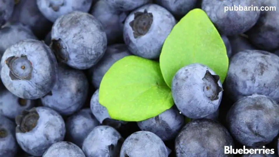 How many Calories are in 1 cup of Blueberries