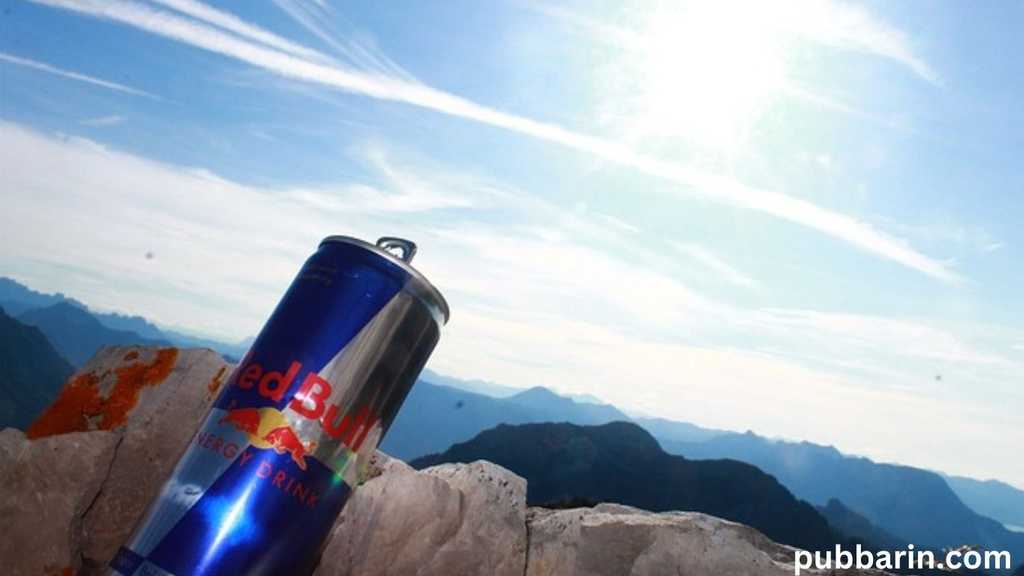 Red Bull Price in India Ultimate Price Guide 2024