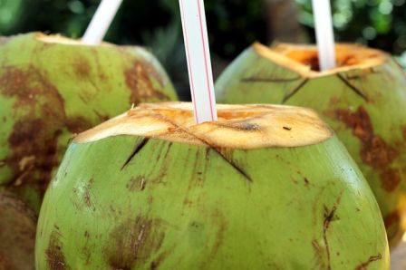 Coconut Water Price in india for 2024