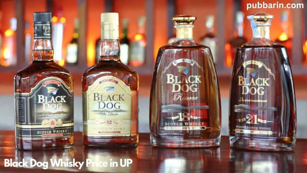 Black Dog Whisky Price in Uttar Pradesh (UP) for 2024